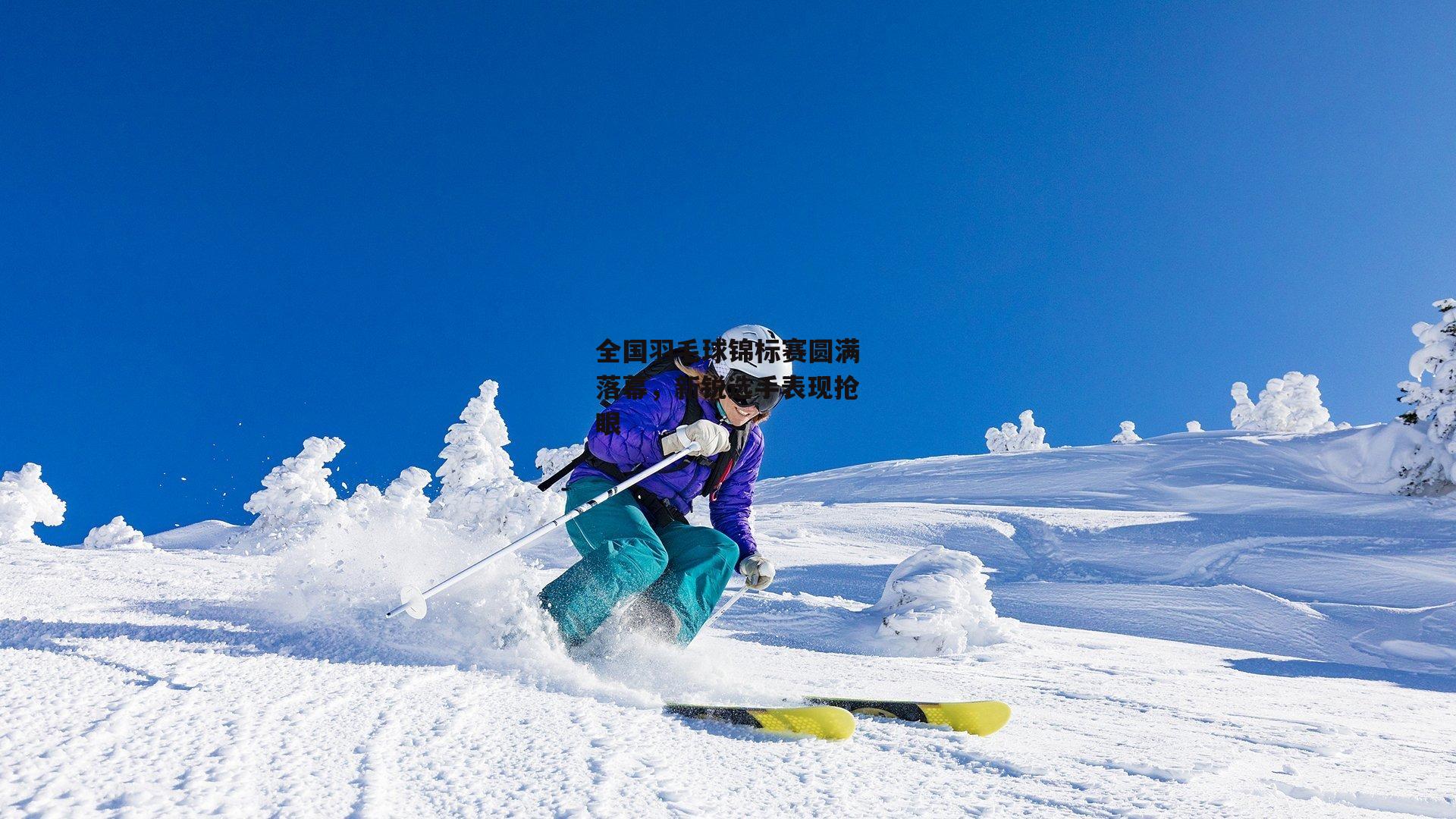 全国羽毛球锦标赛圆满落幕，新锐选手表现抢眼